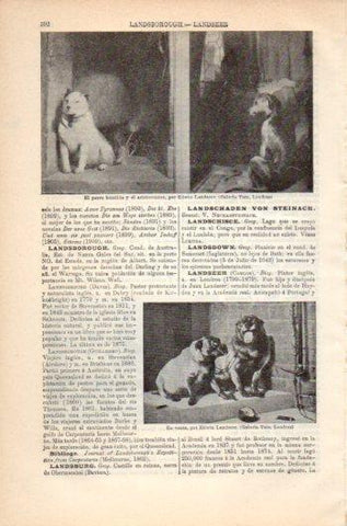 LAMINA V36169: Obras por Edwin Landseer