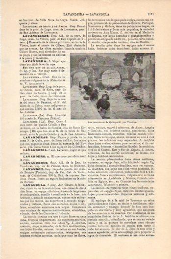 LAMINA V36208: Las lavanderas de Quimperle por Thaulow