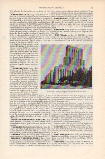 LAMINA V35776: Hospital Medical Center en Nueva York