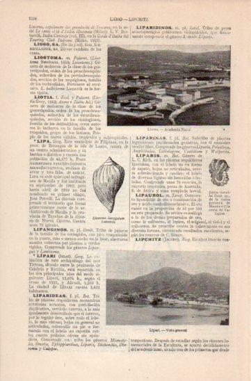 LAMINA V35830: Academia naval de Liorna, Italia