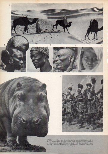 LAMINA V35967: Tipos de Africa