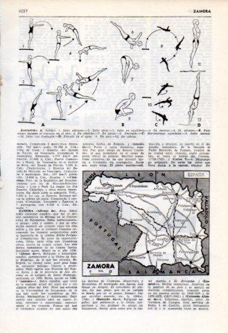 LAMINA V35938: Tipos de zambullidas y mapa provincia de Zamora