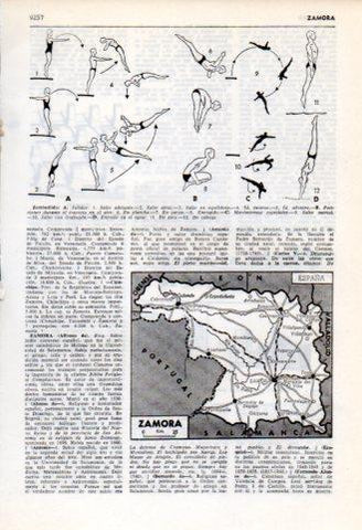 LAMINA V35938: Tipos de zambullidas y mapa provincia de Zamora