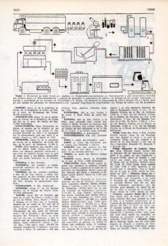 LAMINA V35935: Fases fabricacion del yogur