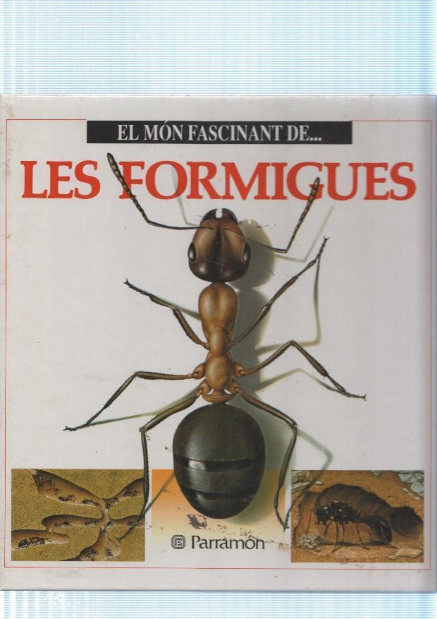 El mon fascinant de : Les formigues