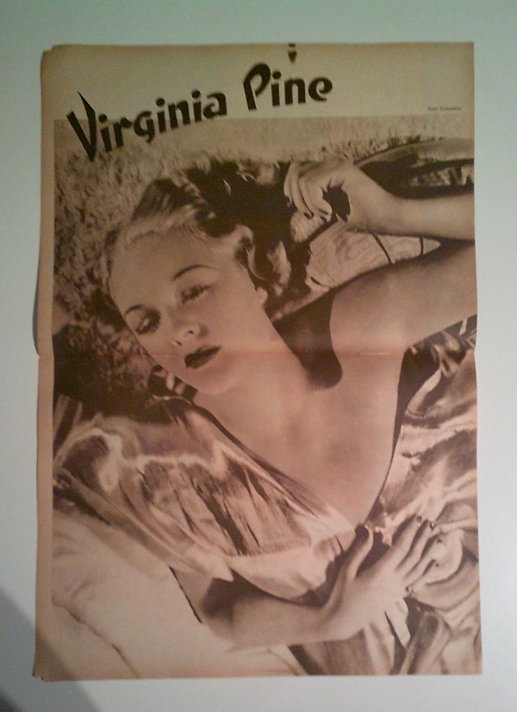 LAMINA 34778: Virginia Pine