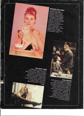 LAMINA 35255: Audrey Hepburn con un gato