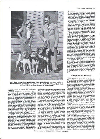 LAMINA 35050: Clark Gable y Jean Harlow adoptan cuatro perros