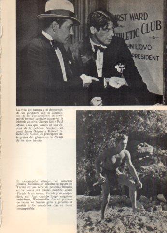 LAMINA V36530: Johnny Weissmuller en Tarzan de los monos