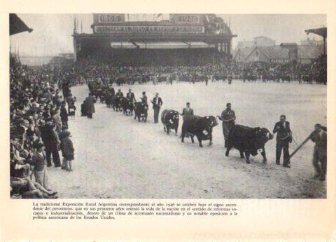 LAMINA V36680: Exposicion Rural Argentina en 1946