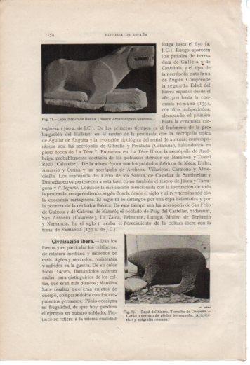 LAMINA V36993: Leon iberico de Baena