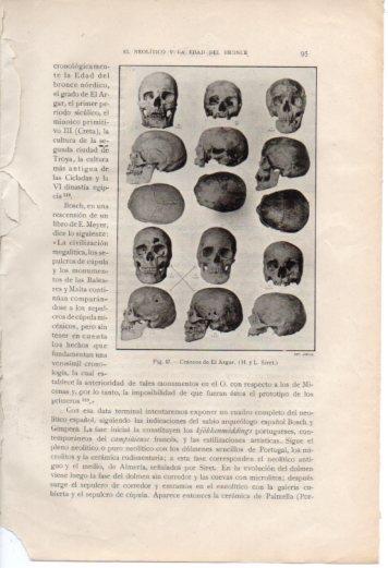 LAMINA V36981: Craneos de El Algar
