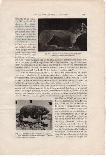 LAMINA V36994: Cerdo de piedra berroqueña, Torralba de Oropesa
