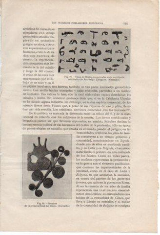 LAMINA V36996: Tipos de fibulas, Necropolis de Arcobriga
