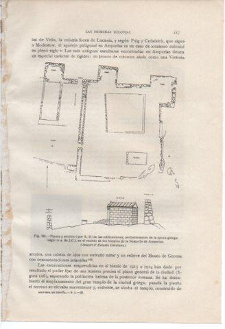 LAMINA V37012: Planta y seccion de la Neapolis de Ampurias
