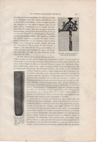 LAMINA V37003: Cetro de Miraveche