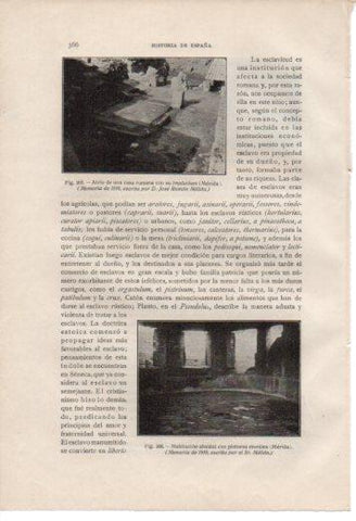 LAMINA V37054: Atrio de una casa romana en Merida