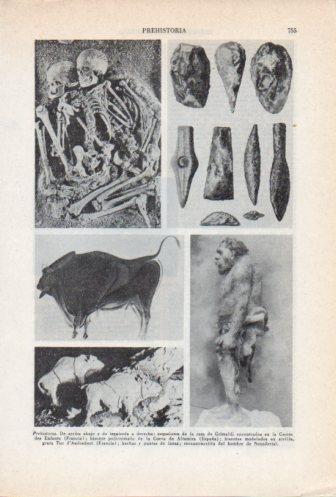LAMINA V36759: Pinturas y esqueletos de la Prehistoria