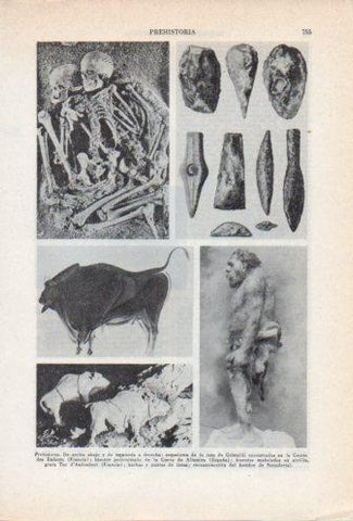 LAMINA V36759: Pinturas y esqueletos de la Prehistoria