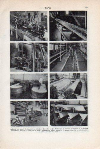 LAMINA V36758: Proceso de fabricacion del papel