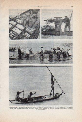 LAMINA V36747: Tipos de pesca
