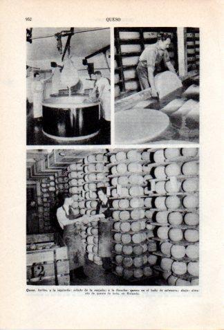 LAMINA V36918: Proceso de elaboracion del queso