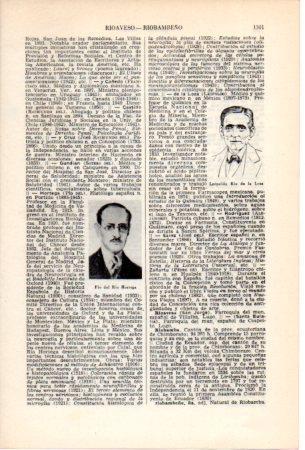 LAMINA V36905: Pio del Rio Hortega