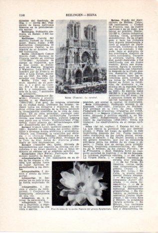 LAMINA V36859: Catedral de Reims, Francia