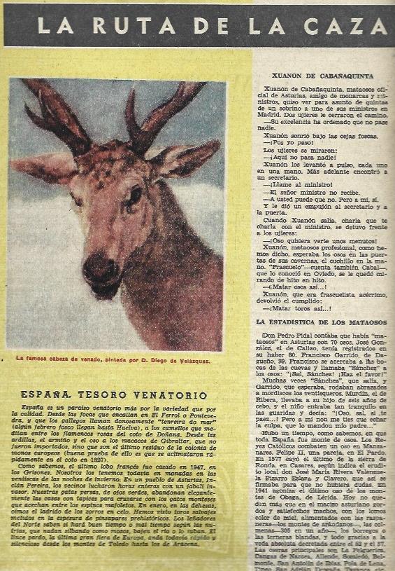 LAMINA 35699: Cabeza de venado, por Velazquez
