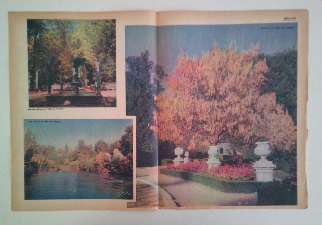 LAMINA 35653: Jardines de Aranjuez