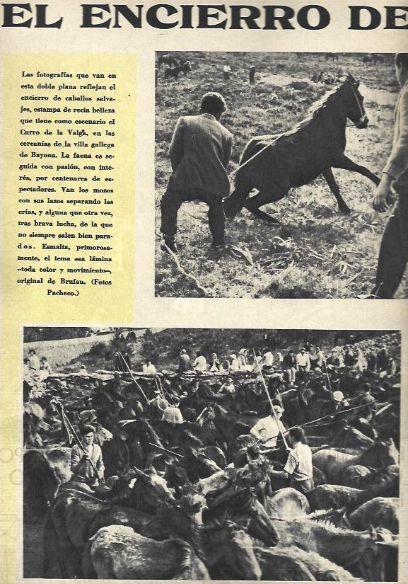 LAMINA 35535: Encierro de Curro de la Valga
