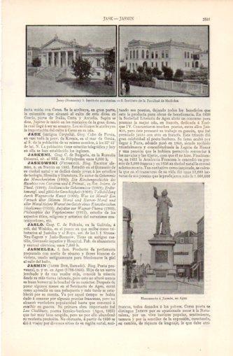 LAMINA V37406: Instituto anatomico y Facultad de Medicina en Jassy, Rumania