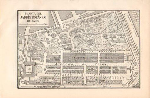 LAMINA V37400: Planta del jardin botanico de Paris