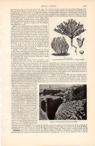 LAMINA V37425: Murallas de Jerico en 1925