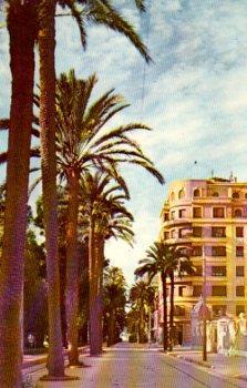 POSTAL PV09178: Avenida de Mariano Aser, Valencia