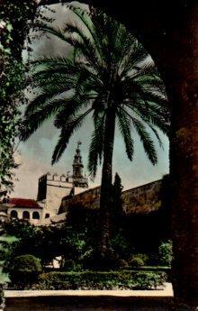 POSTAL PV09168: Rincon del Jardin del Alcazar, Sevilla