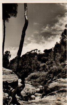 POSTAL PV09188: Fuente Bosquina y Manso Segarra en Torrellas de Llobregat