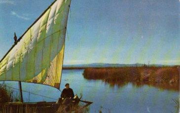 POSTAL PV08869: Lago de la Albufera, Valencia 