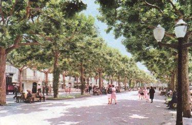 POSTAL PV08918: Vista Rambla San Francisco en Vilafranca del Panades