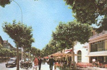 POSTAL PV08917: Rambla de Nuestra Señora en Vilafranca del Panades