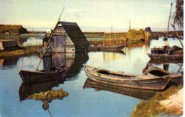POSTAL PV08850: Canal de la Albufera, Valencia 