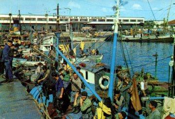 POSTAL PV09012: Barco de pesca en el puerto de Vigo