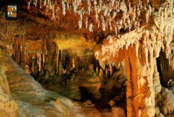 POSTAL PV08979: Sala de las imágenes en Cuevas dels Hams, Mallorca