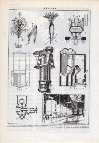 LAMINA V38248: Azucar proceso de elaboracion