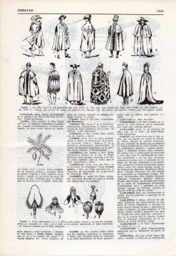 LAMINA V38146: Tipos de capa 