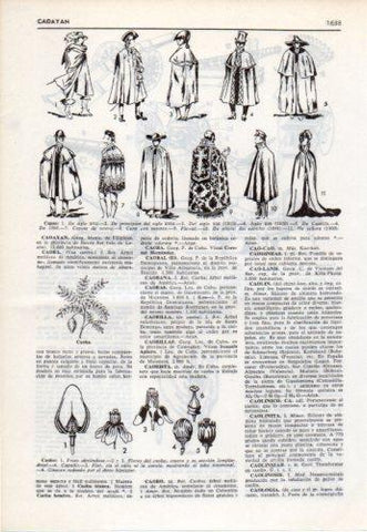 LAMINA V38146: Tipos de capa 
