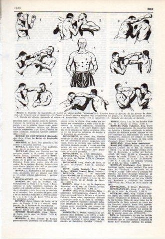LAMINA V38122: Tipos de golpes en boxeo
