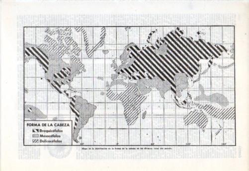 LAMINA V38131: Mapa de distribucion de la forma de la cabeza en las razas del mundo
