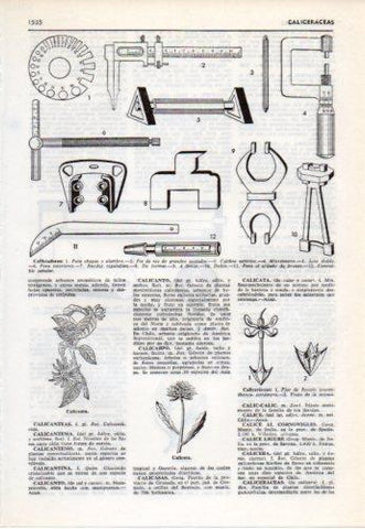 LAMINA V38136: Tipos de calibradores