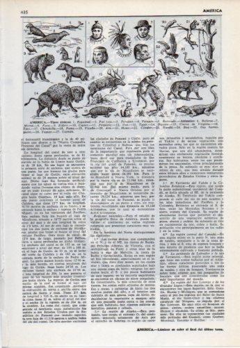 LAMINA V38213: America tipos etnicos y animales